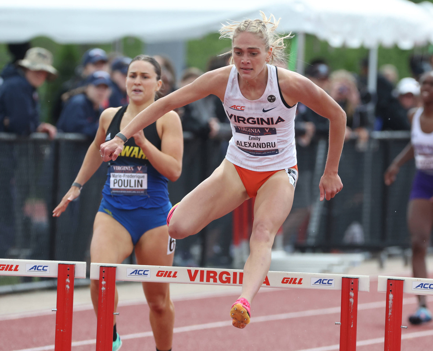 Photo Album UVA Track and Field Virginia Challenge Virginia
