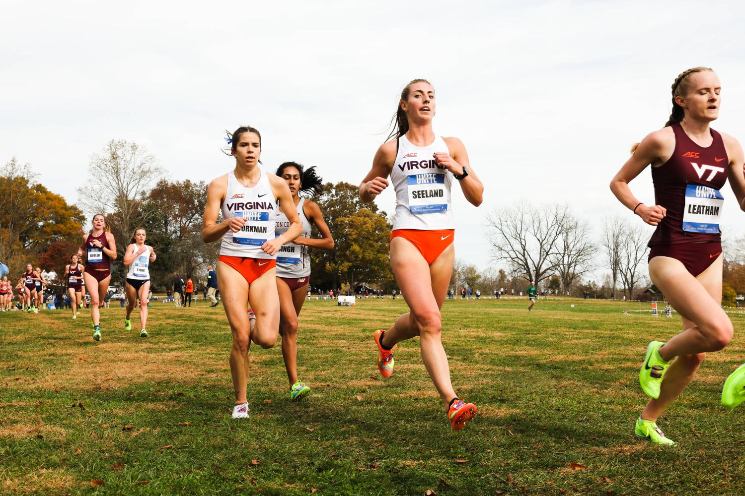 Photo Gallery ACC Cross Country Championships Virginia Cavaliers
