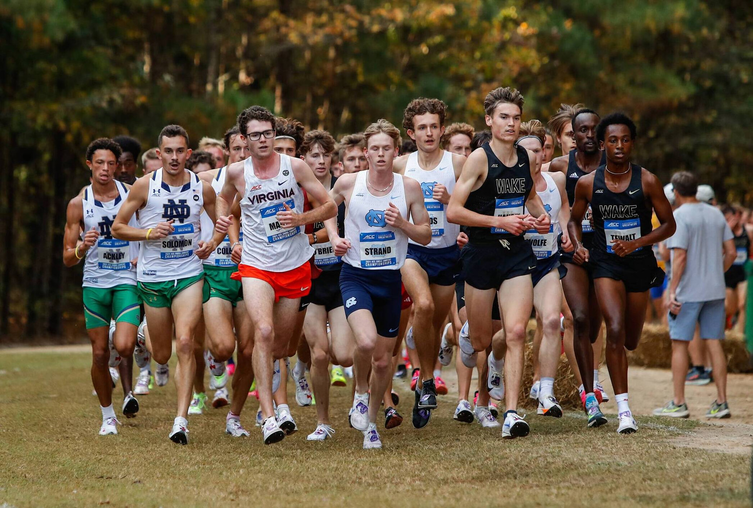Cross Country ACC Championships Photo Gallery Virginia Cavaliers