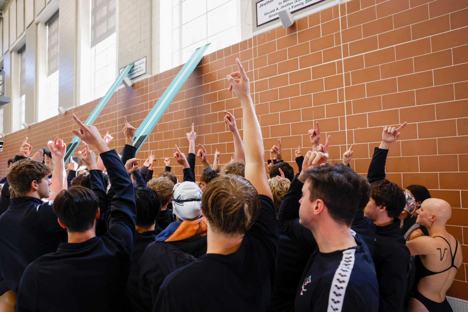 Swim & Dive vs Florida Photo Gallery Virginia Cavaliers Official