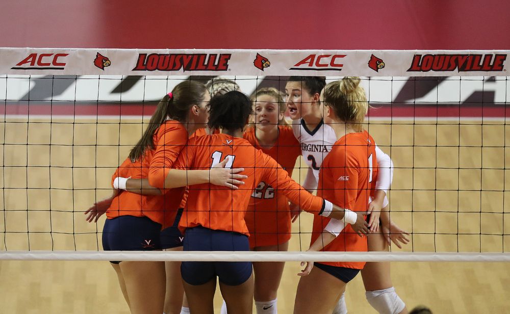 Volleyball at Louisville