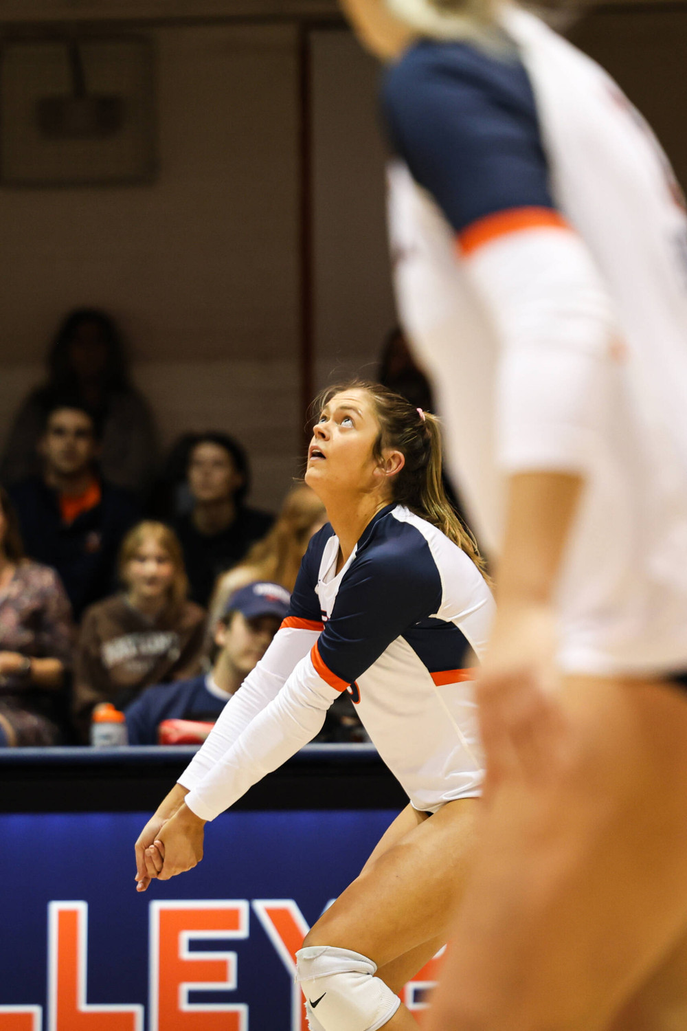 Volleyball vs Duke Photo Gallery Virginia Cavaliers Official