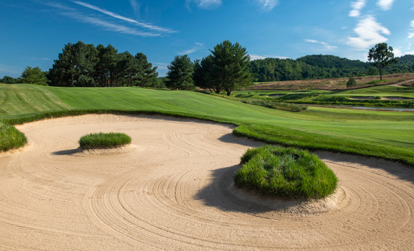 Birdwood Golf Course Virginia Cavaliers Official Athletic Site