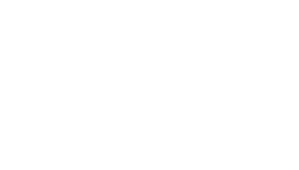 CHO White Logo