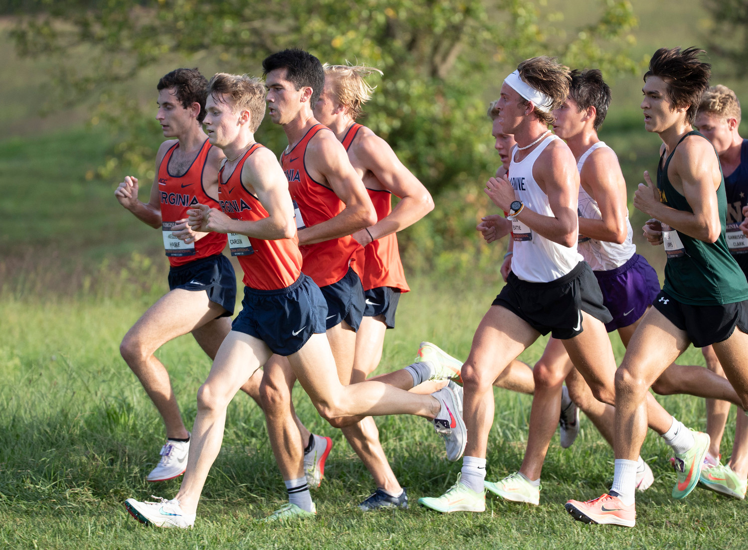 Photo Album XC Virginia Invitational Virginia Cavaliers Official