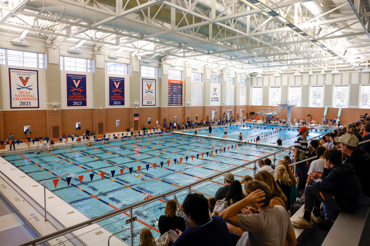 Swim & Dive vs Florida Photo Gallery Virginia Cavaliers Official